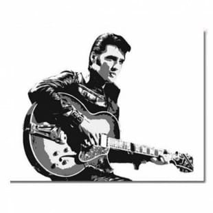 Schilderij Elvis foto 1