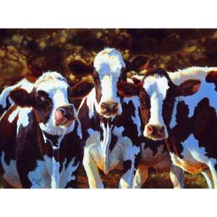 Schilderij 3 gevlekte koeien is handgeschilderd foto 1