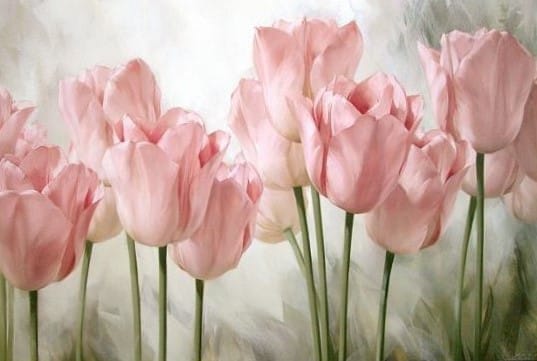 Elektropositief Doorzichtig vermoeidheid Bloemen schilderij roze rozen kopen bij | Kunst voor in huis