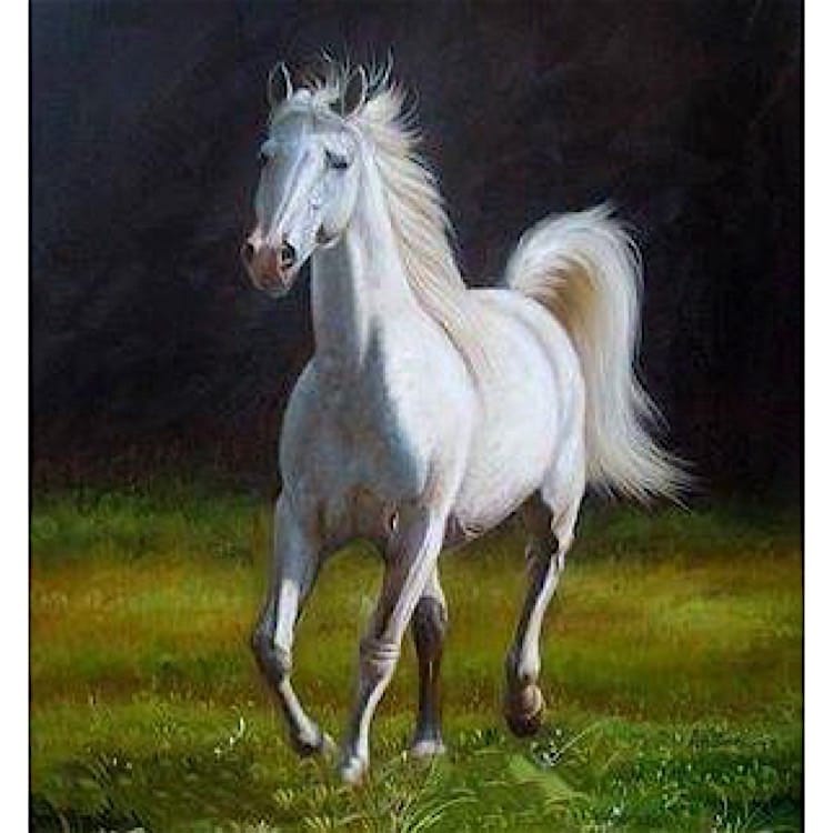 Schilderij het witte paard - Handgeschilderd foto 1