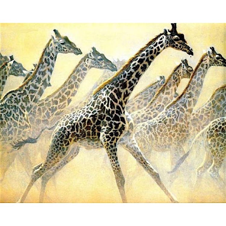 Olieverfschilderij Giraffen foto 1