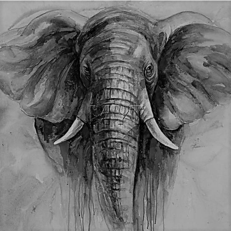 Dieren schilderij zwart wit olifant - Kopen foto 1