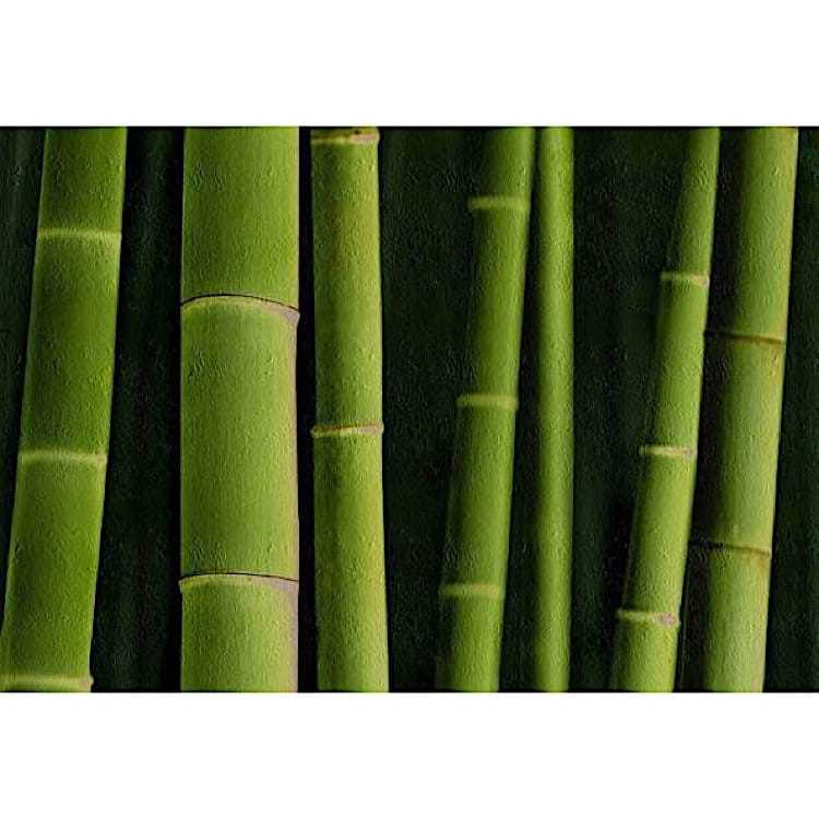 Olieverf schilderij Bamboe groen foto 1