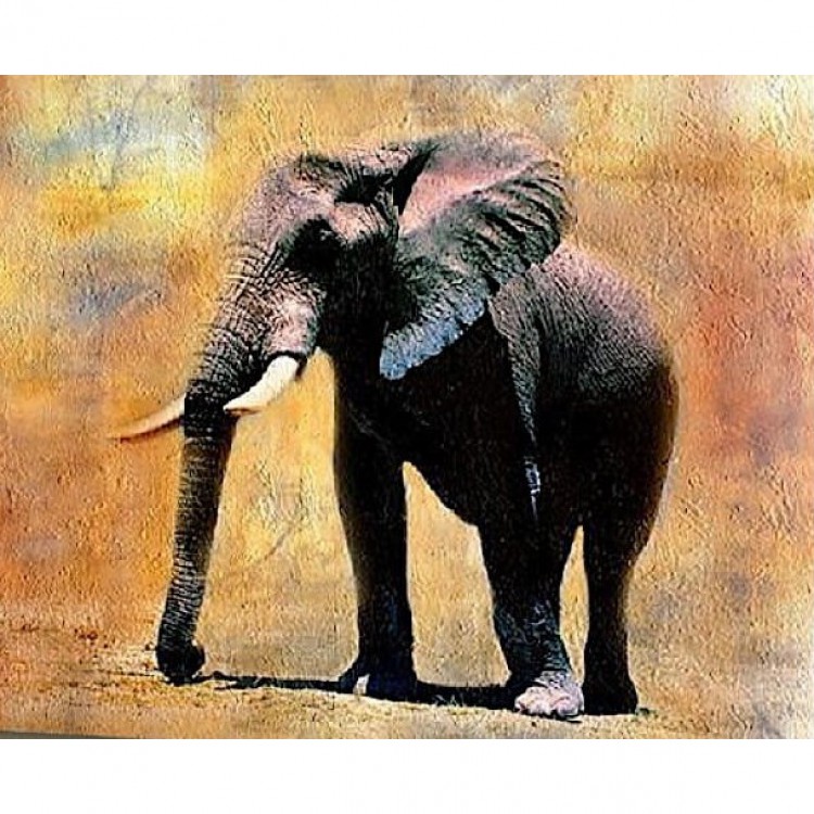 Schilderij staande Olifant - Kopen foto 2