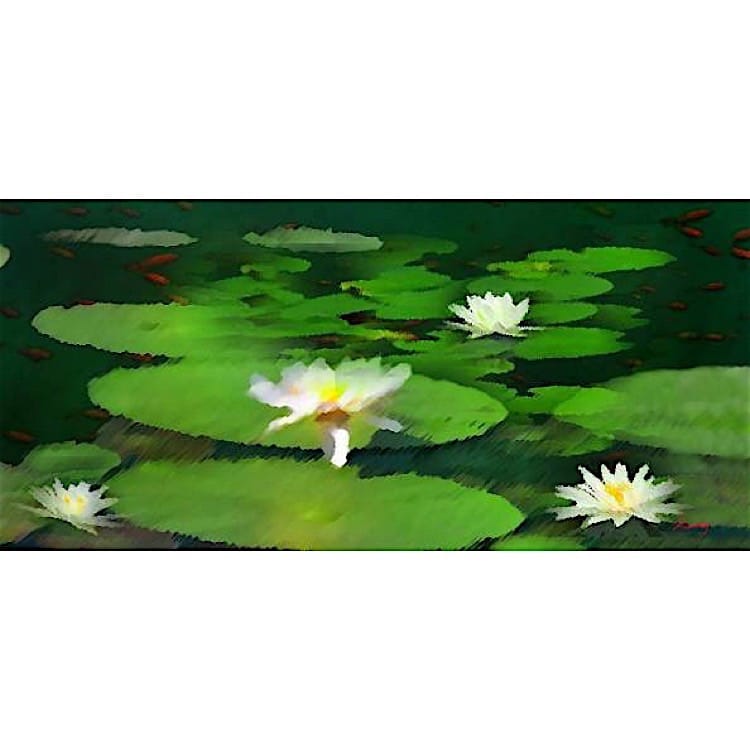 Olieverf schilderij De witte waterlelies foto 1