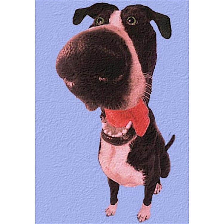 Olieverfschilderij Nosy Dog foto 1