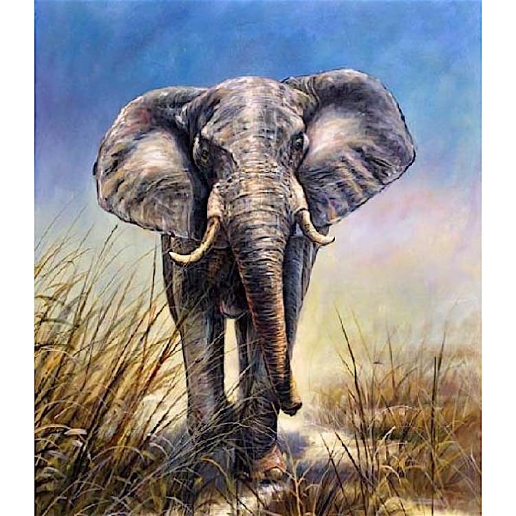 Dieren schilderij Olifant I - Kopen foto 1