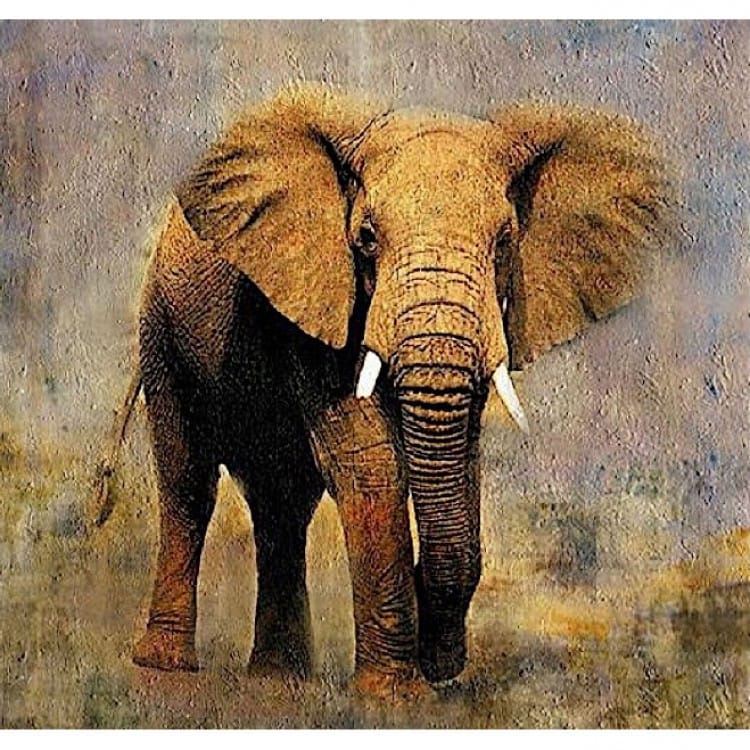 Dieren schilderij Olifant IV - Te koop foto 3