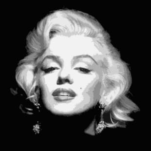 Zwart Wit Schilderij Marilyn Monroe Portret foto 1