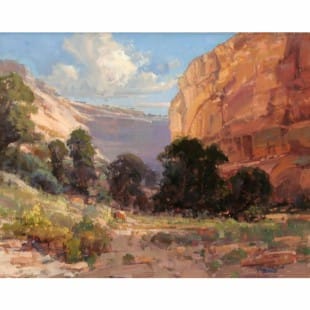 Schilderij Gran Canyon foto 1