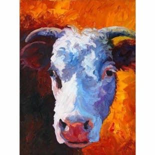 Dieren Schilderij portret de stier foto 1