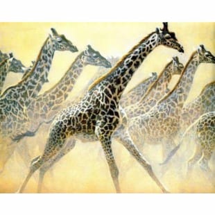Olieverfschilderij Giraffen foto 1