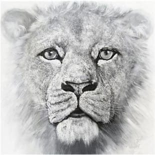 Schilderij leeuw zwart wit II foto 1