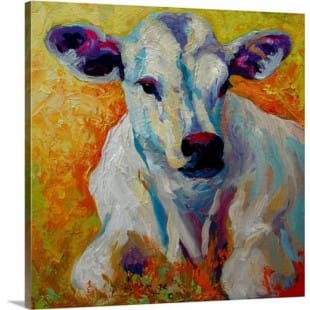 Olieverf schilderij witte kalf foto 1
