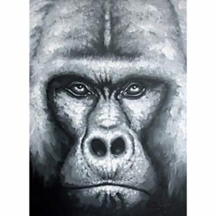 Dieren Schilderij boze gorilla - Kopen foto 1