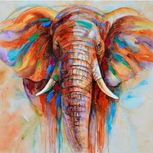 Dieren Schilderij Gekleurde olifant - Kopen foto 1