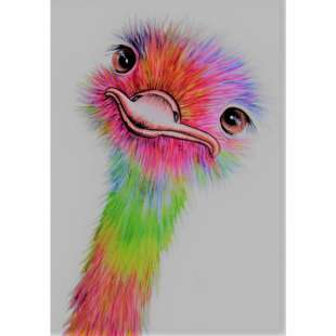 Pop art schilderij gekleurde struisvogel - Kopen foto 1