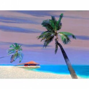 Olieverf schilderij Rustige Strand foto 1