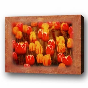 Olieverf schilderij Tulpenveld foto 1