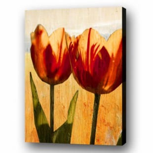 Bloemen schilderij Twee Tulpen olieverf op linnen foto 1