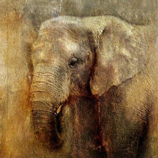 Dieren schilderij Olifant III - Kopen foto 1