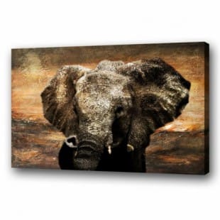 Dieren Schilderij Olifant VI - Te Koop foto 1