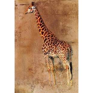 Schilderij van Giraffe - Kopen foto 2