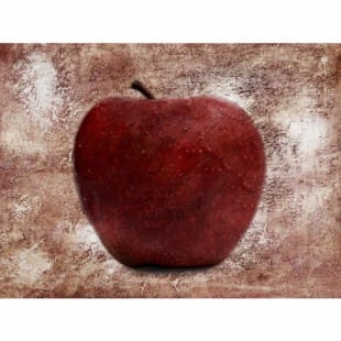 Olieverf schilderij rode Appel foto 1
