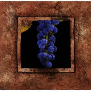 Olieverf schilderij Druiven foto 1